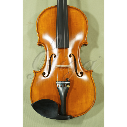 Professional 4/4 Full-Size Gliga Vasile 'GAMA' Advanced Orchestra Level Violin