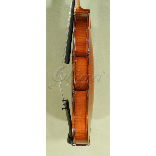 Violon Gliga Maestro taille 4/4 : Crystal Lutherie