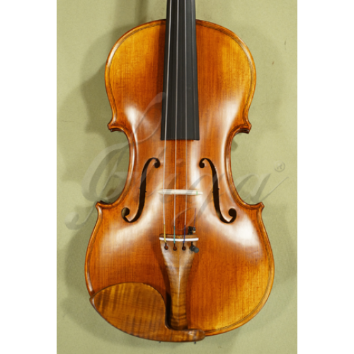 Beautiful 1/2 Half-Size Gliga 'GENOVA 3' Advanced Level Violin
