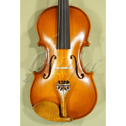 Student 4/4 Full-Size Gliga 'GLORIA 2' Starting Level Violin